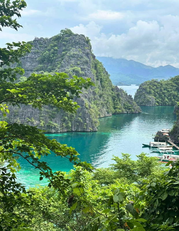 620 pixels placeholder image